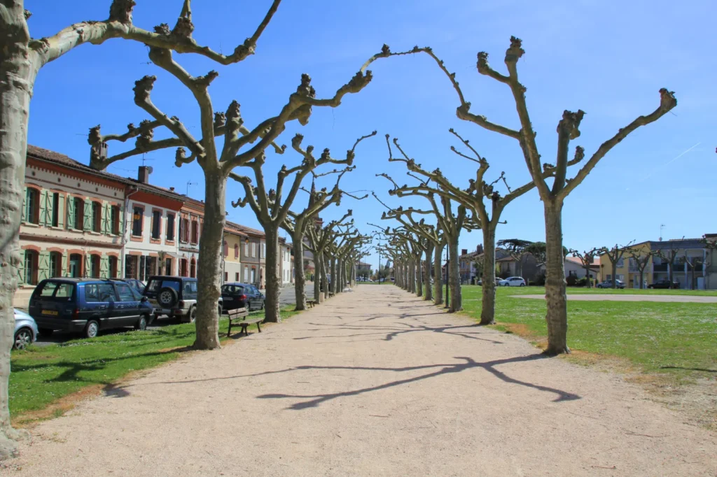 Saint Clar de Riviere