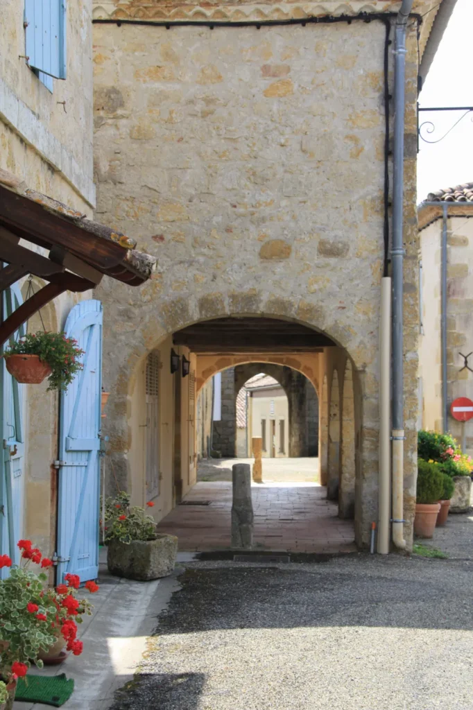 Mas d’Auvignon